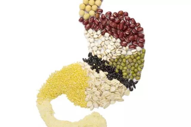 長(zhǎng)夏養(yǎng)生，吃出好“ 胃”口！